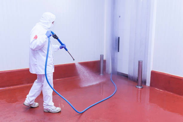 Best Vinyl Siding Pressure Washing in Koontz Lake, IN