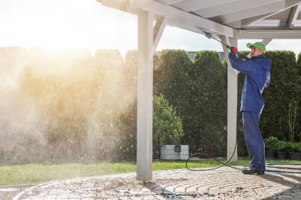 Best Soft Washing for Delicate Surfaces in Koontz Lake, IN
